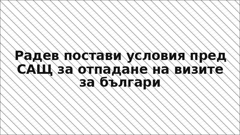 Радев постави условия пред САЩ за отпадане на визите за българи