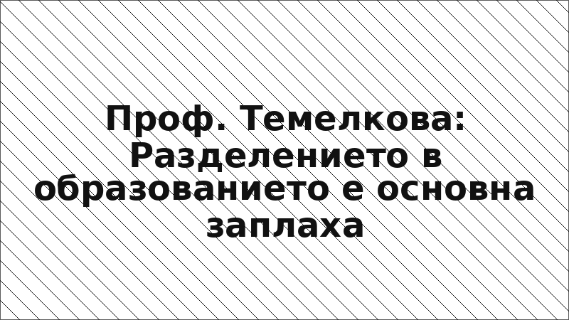 Проф. Темелкова: Разделението в образованието е основна заплаха