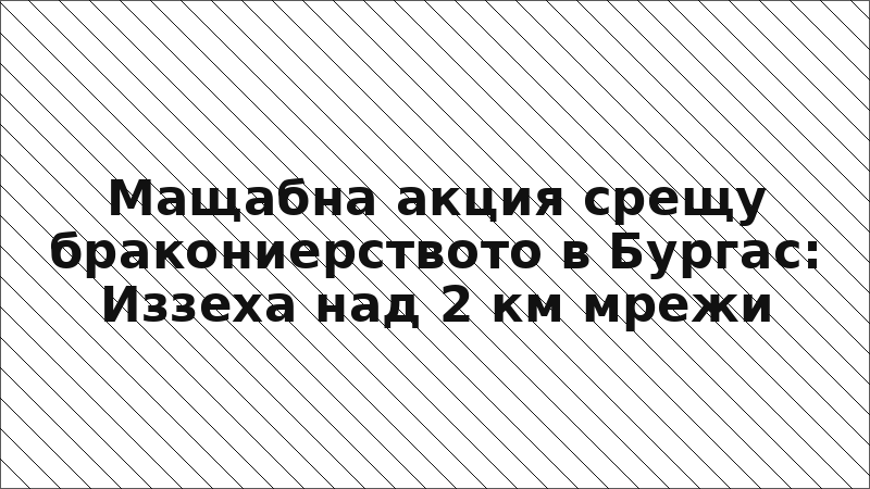 Мащабна акция срещу бракониерството в Бургас: Иззеха над 2 км мрежи