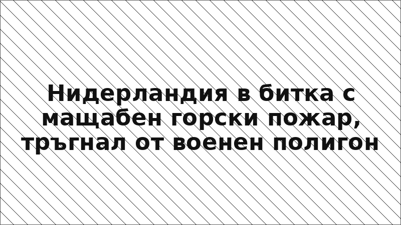 Нидерландия в битка с мащабен горски пожар, тръгнал от военен полигон