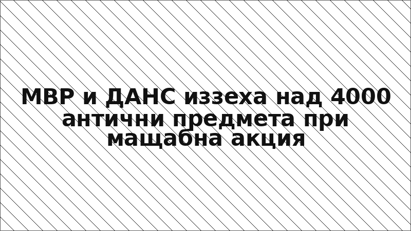 МВР и ДАНС иззеха над 4000 антични предмета при мащабна акция