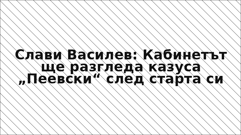 Слави Василев: Кабинетът ще разгледа казуса „Пеевски“ след старта си