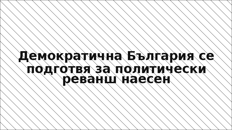 Демократична България се подготвя за политически реванш наесен