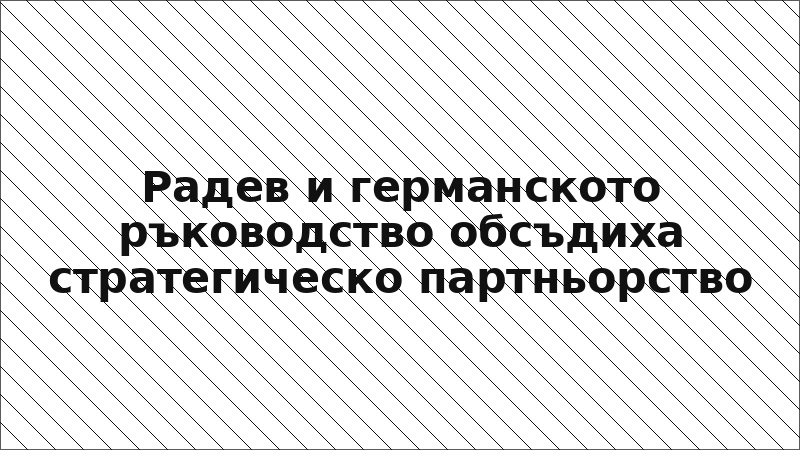 Радев и германското ръководство обсъдиха стратегическо партньорство