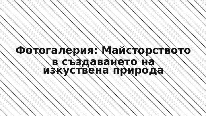 Фотогалерия: Майсторството в създаването на изкуствена природа