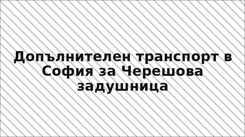 Допълнителен транспорт в София за Черешова задушница