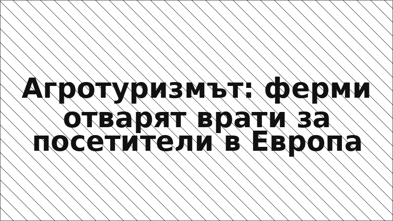 Агротуризмът: ферми отварят врати за посетители в Европа