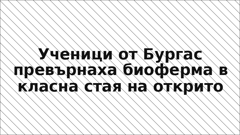 Ученици от Бургас превърнаха биоферма в класна стая на открито