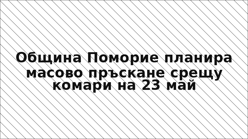 Община Поморие планира масово пръскане срещу комари на 23 май