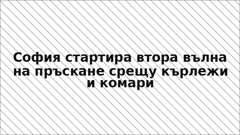 София стартира втора вълна на пръскане срещу кърлежи и комари