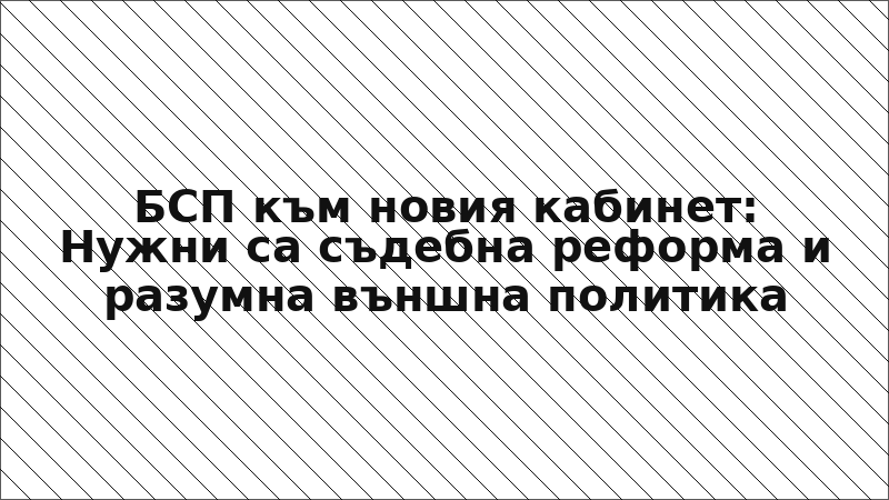 БСП към новия кабинет: Нужни са съдебна реформа и разумна външна политика