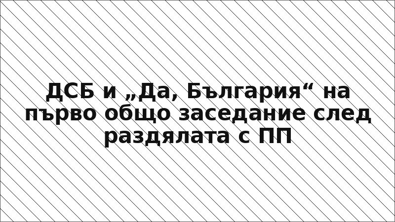 ДСБ и „Да, България“ на първо общо заседание след раздялата с ПП
