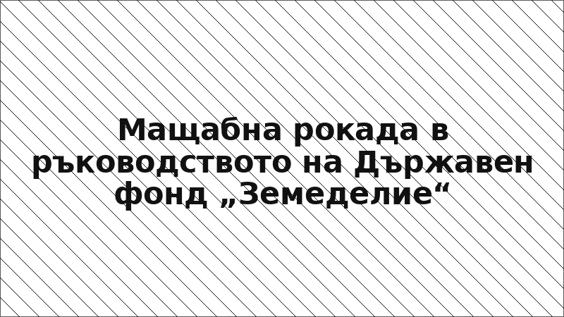 Мащабна рокада в ръководството на Държавен фонд „Земеделие“