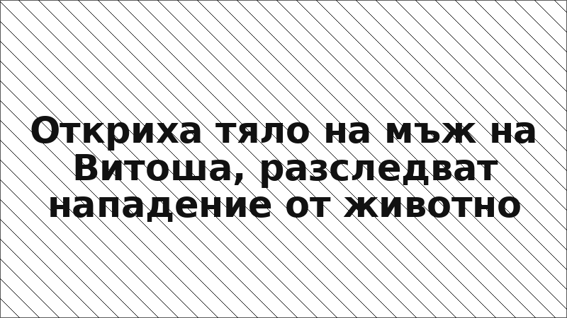 Откриха тяло на мъж на Витоша, разследват нападение от животно