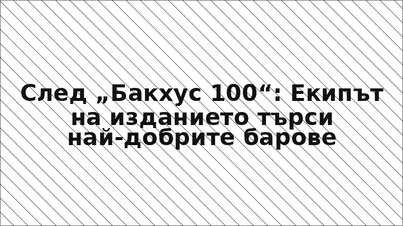 След „Бакхус 100“: Екипът на изданието търси най-добрите барове