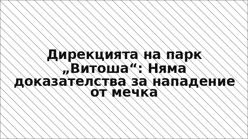 Дирекцията на парк „Витоша“: Няма доказателства за нападение от мечка