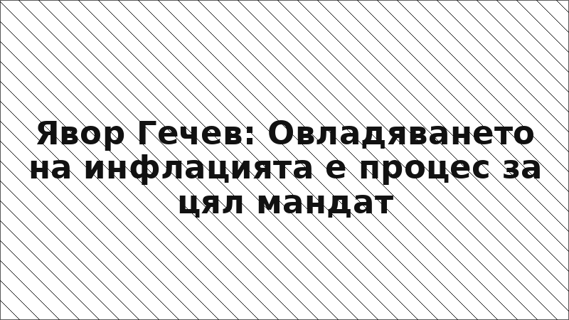 Явор Гечев: Овладяването на инфлацията е процес за цял мандат