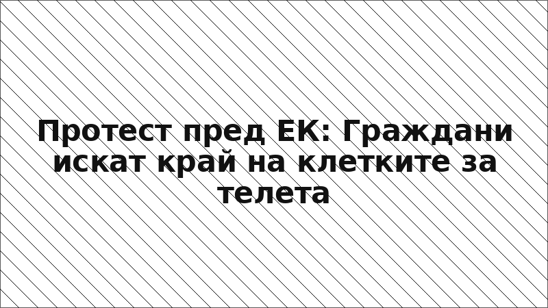 Протест пред ЕК: Граждани искат край на клетките за телета