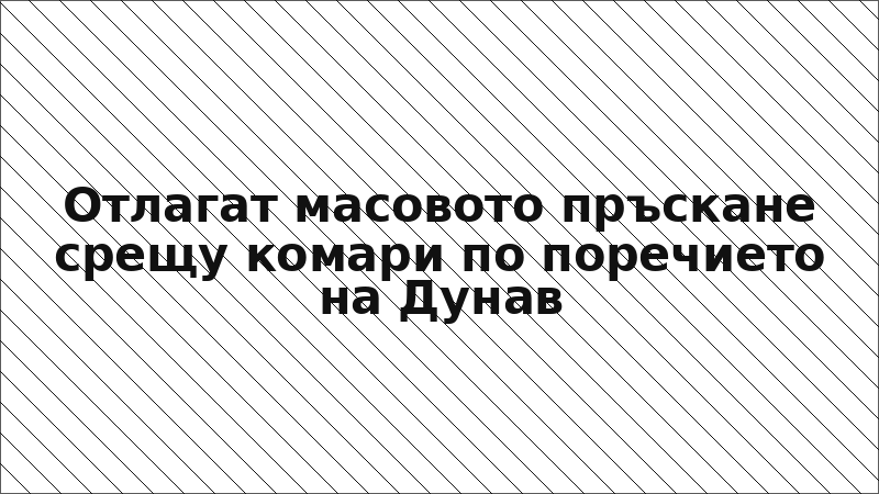 Отлагат масовото пръскане срещу комари по поречието на Дунав