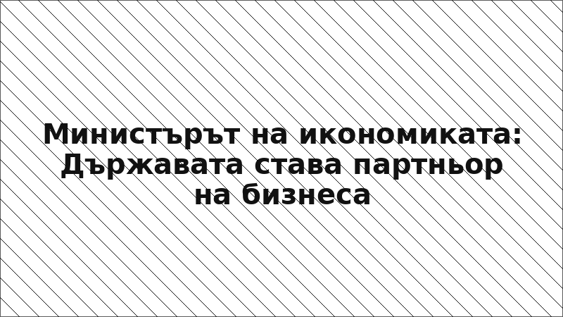 Министърът на икономиката: Държавата става партньор на бизнеса