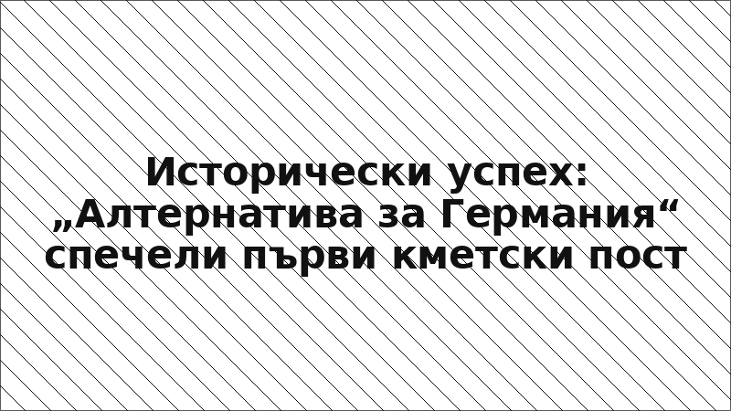 Исторически успех: „Алтернатива за Германия“ спечели първи кметски пост