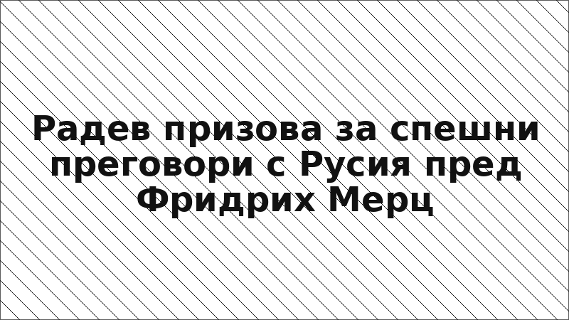 Радев призова за спешни преговори с Русия пред Фридрих Мерц