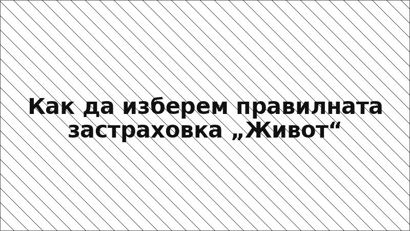 Как да изберем правилната застраховка „Живот“