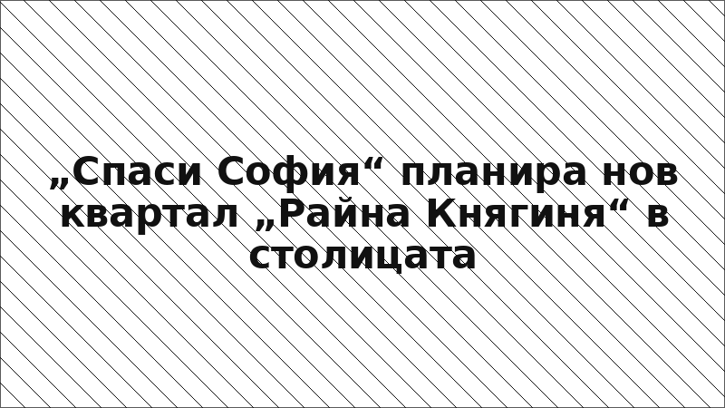 „Спаси София“ планира нов квартал „Райна Княгиня“ в столицата