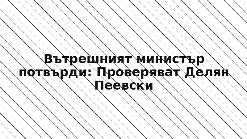 Вътрешният министър потвърди: Проверяват Делян Пеевски