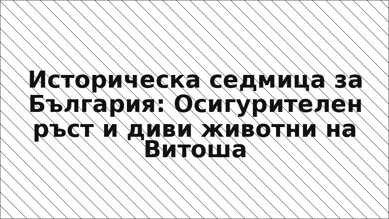 Историческа седмица за България: Осигурителен ръст и диви животни на Витоша