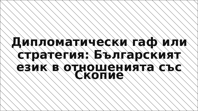 Дипломатически гаф или стратегия: Българският език в отношенията със Скопие