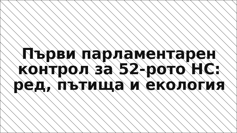 Първи парламентарен контрол за 52-рото НС: ред, пътища и екология