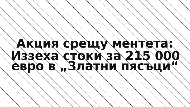 Акция срещу ментета: Иззеха стоки за 215 000 евро в „Златни пясъци“