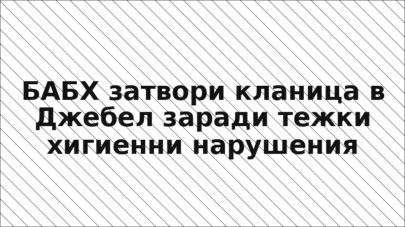 БАБХ затвори кланица в Джебел заради тежки хигиенни нарушения