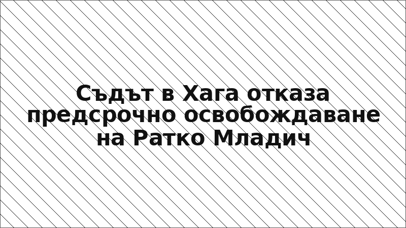 Съдът в Хага отказа предсрочно освобождаване на Ратко Младич