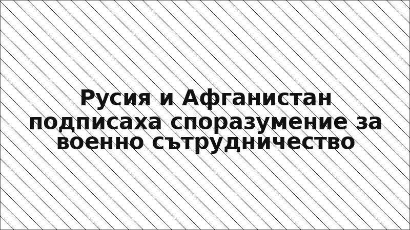 Русия и Афганистан подписаха споразумение за военно сътрудничество