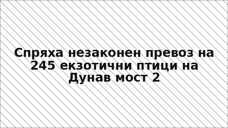 Спряха незаконен превоз на 245 екзотични птици на Дунав мост 2
