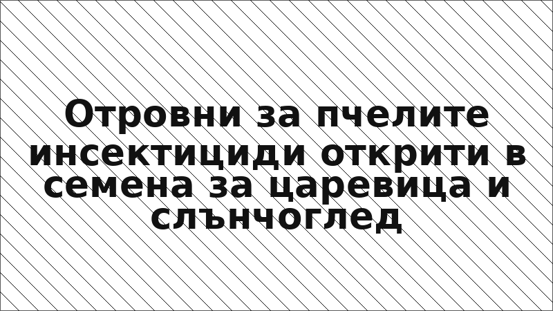 Отровни за пчелите инсектициди открити в семена за царевица и слънчоглед