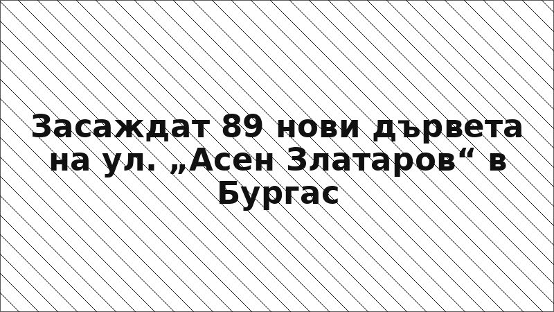 Засаждат 89 нови дървета на ул. „Асен Златаров“ в Бургас