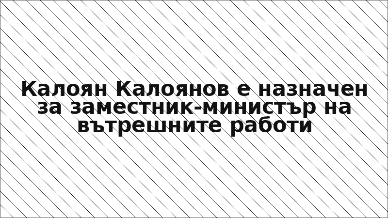 Калоян Калоянов е назначен за заместник-министър на вътрешните работи