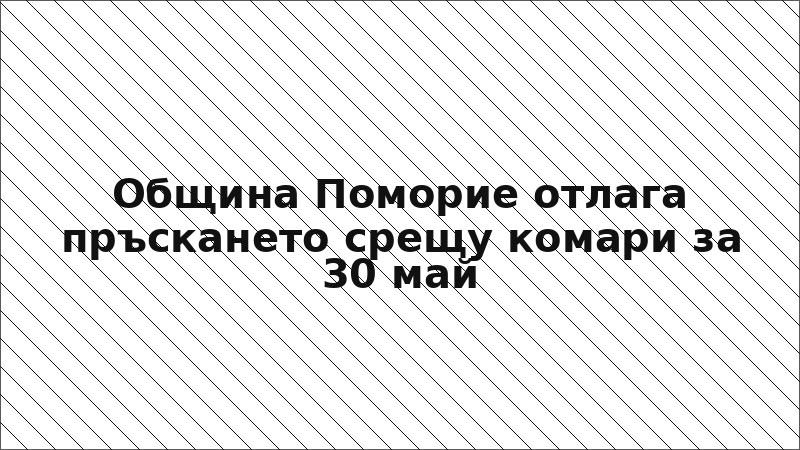 Община Поморие отлага пръскането срещу комари за 30 май