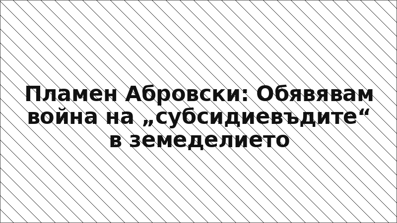Пламен Абровски: Обявявам война на „субсидиевъдите“ в земеделието