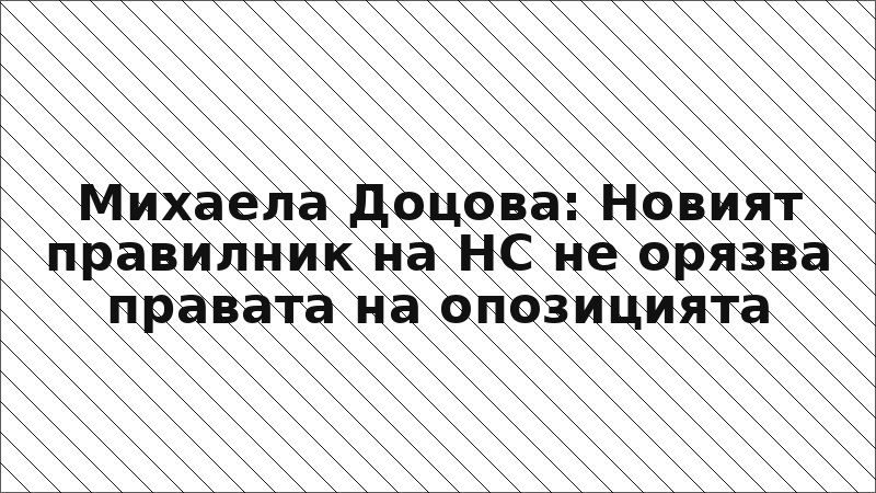 Михаела Доцова: Новият правилник на НС не орязва правата на опозицията