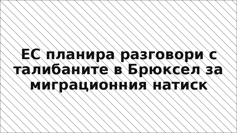 ЕС планира разговори с талибаните в Брюксел за миграционния натиск