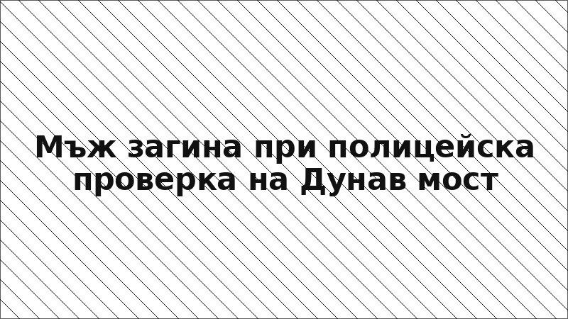 Мъж загина при полицейска проверка на Дунав мост