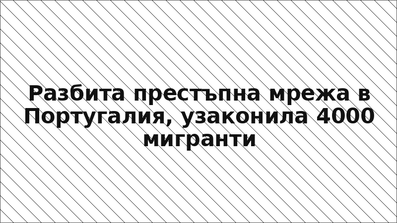 Разбита престъпна мрежа в Португалия, узаконила 4000 мигранти