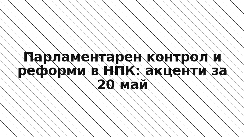 Парламентарен контрол и реформи в НПК: акценти за 20 май