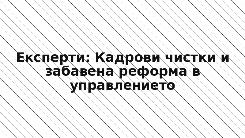 Експерти: Кадрови чистки и забавена реформа в управлението