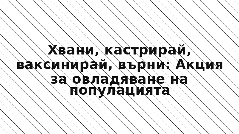 Хвани, кастрирай, ваксинирай, върни: Акция за овладяване на популацията