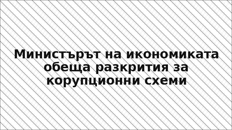 Министърът на икономиката обеща разкрития за корупционни схеми